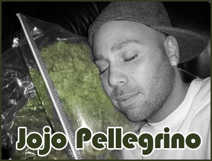 (Image - Jojo Pellegrino)