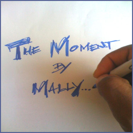(Image - Mally From the 612: The Moment LP)