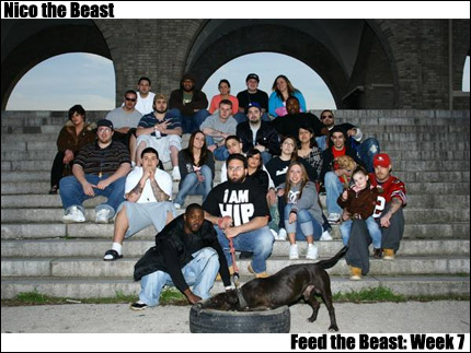 (Image - Nico the Beast and friends)