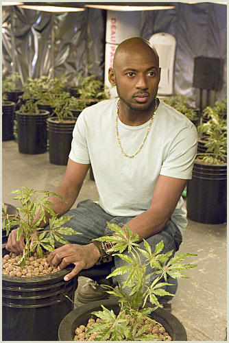 (Image: Romany Malco)